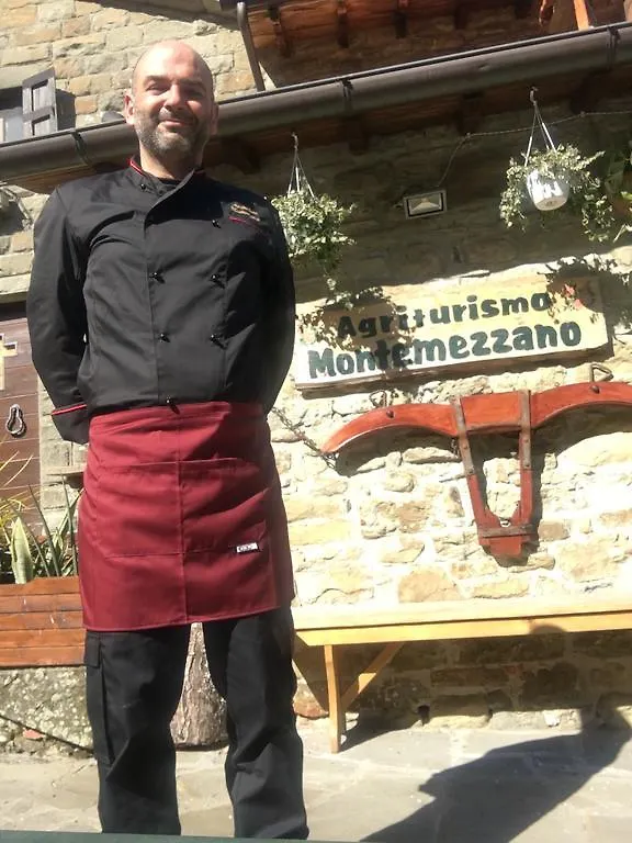 Farm stay Agriturismo Montemezzano Hotel Pratovecchio